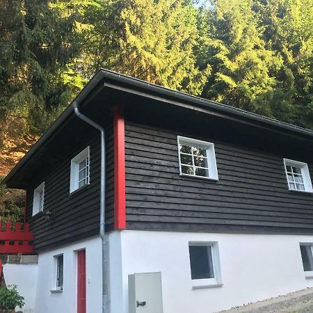 Blockhaus Im Kuckuckswinkel Villa Schöna Esterno foto